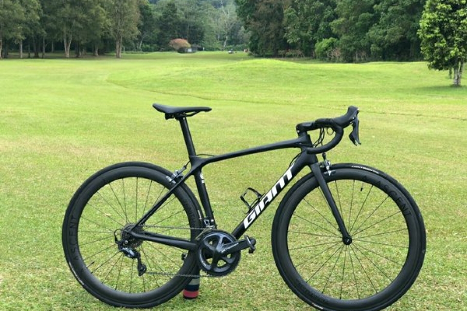 Giant TCR Espoir 24 (2015)