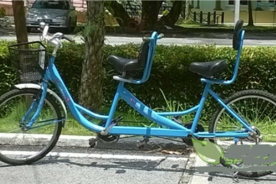 Avant Tandem