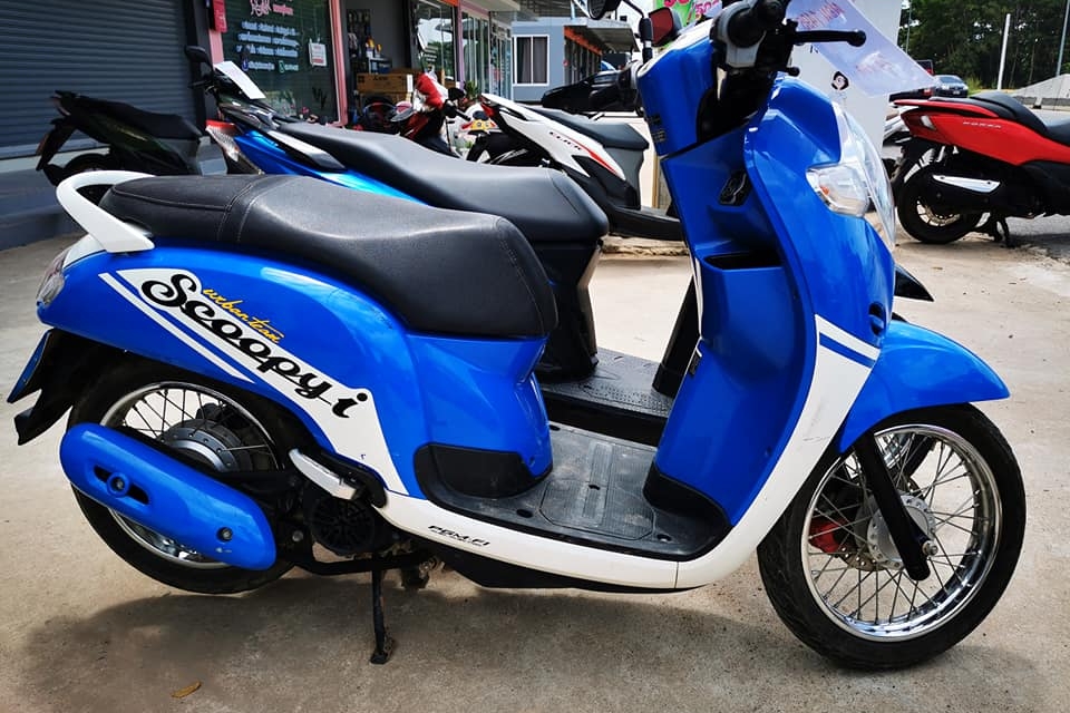 Honda Scoopy 110сс