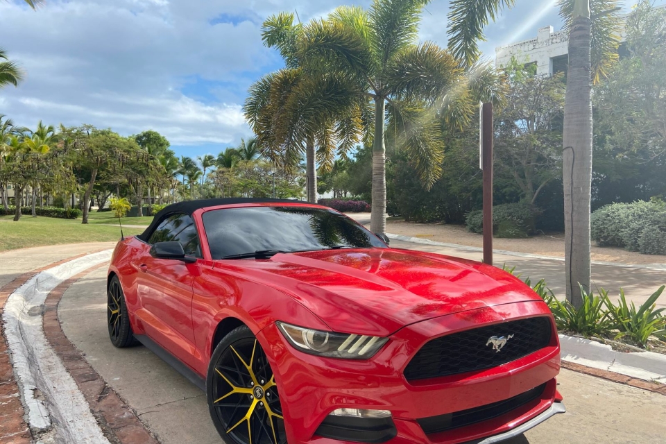 Ford Mustang