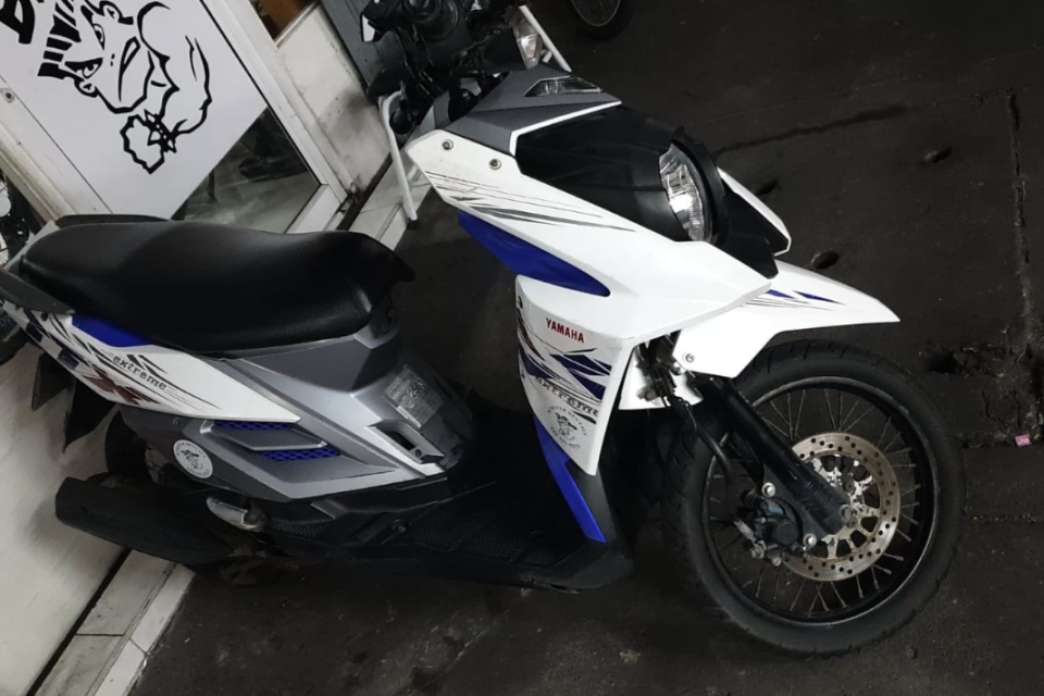 Yamaha TTX 250 or similar